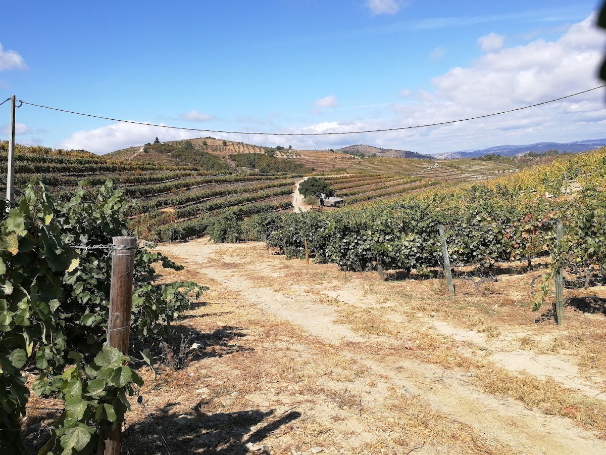 Quinta da Trovisca