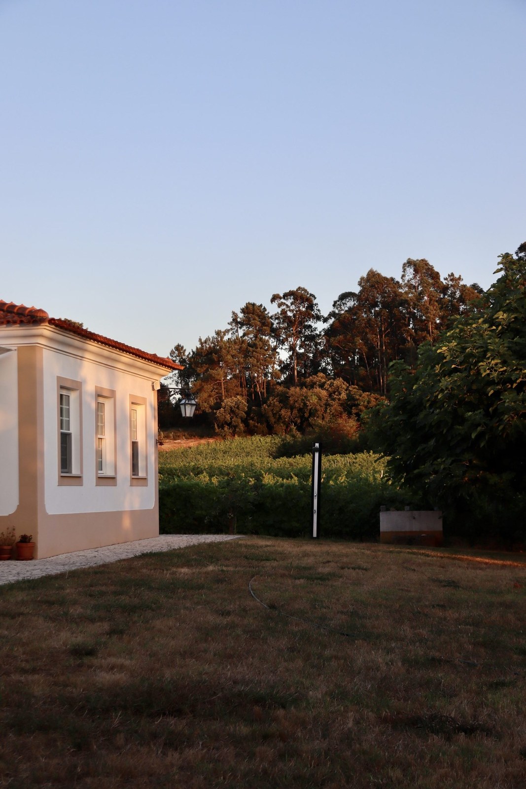 Quinta do Vale Santo