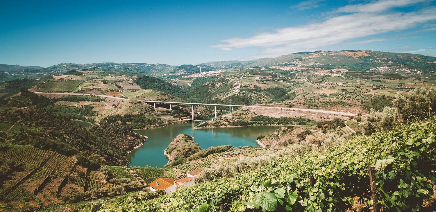 Vinhos Mesura
