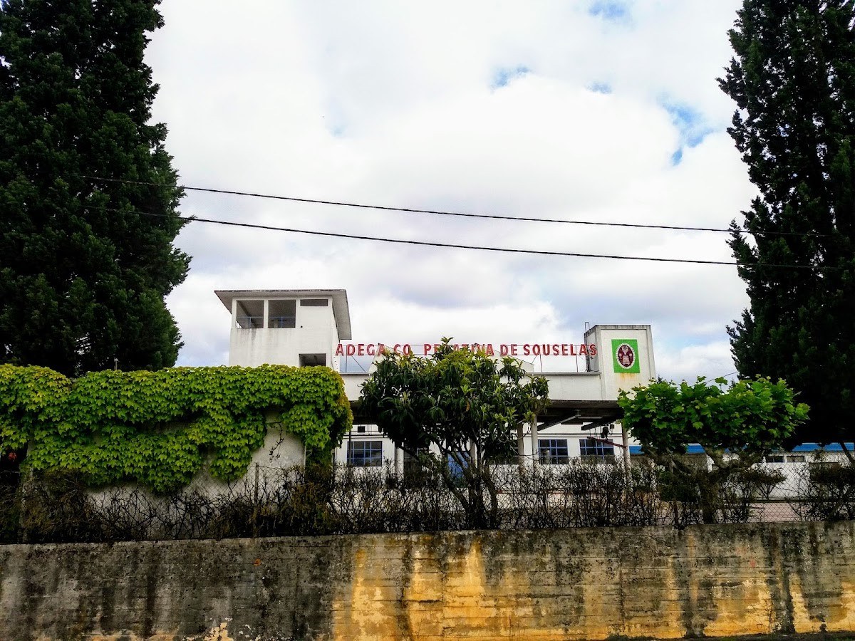 Adega Cooperativa de Souselas