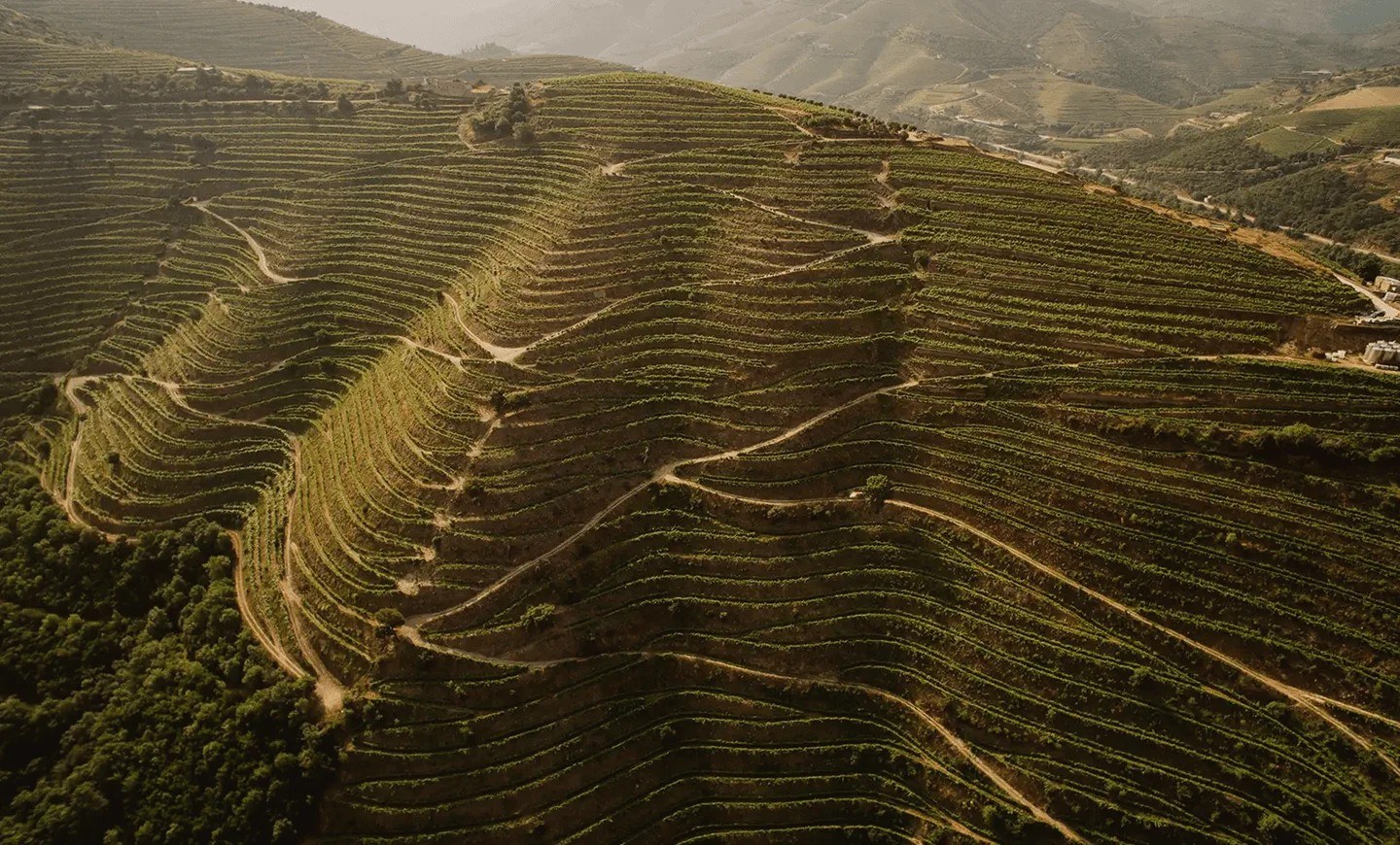 Menin Douro Estates
