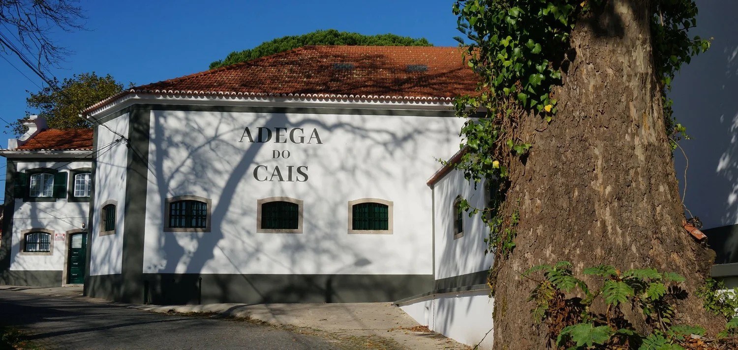 Adega do Cais by Mare et Corvus