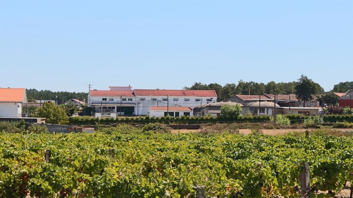 Beira Serra Vinhos
