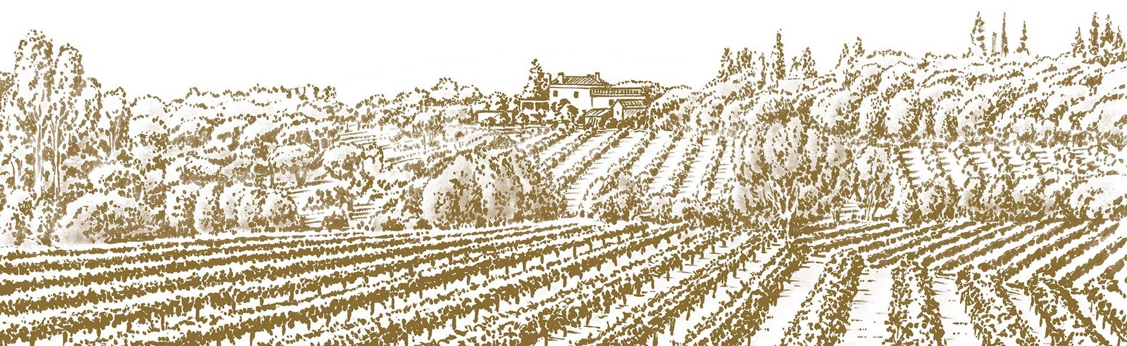 Quinta Casal das Freiras