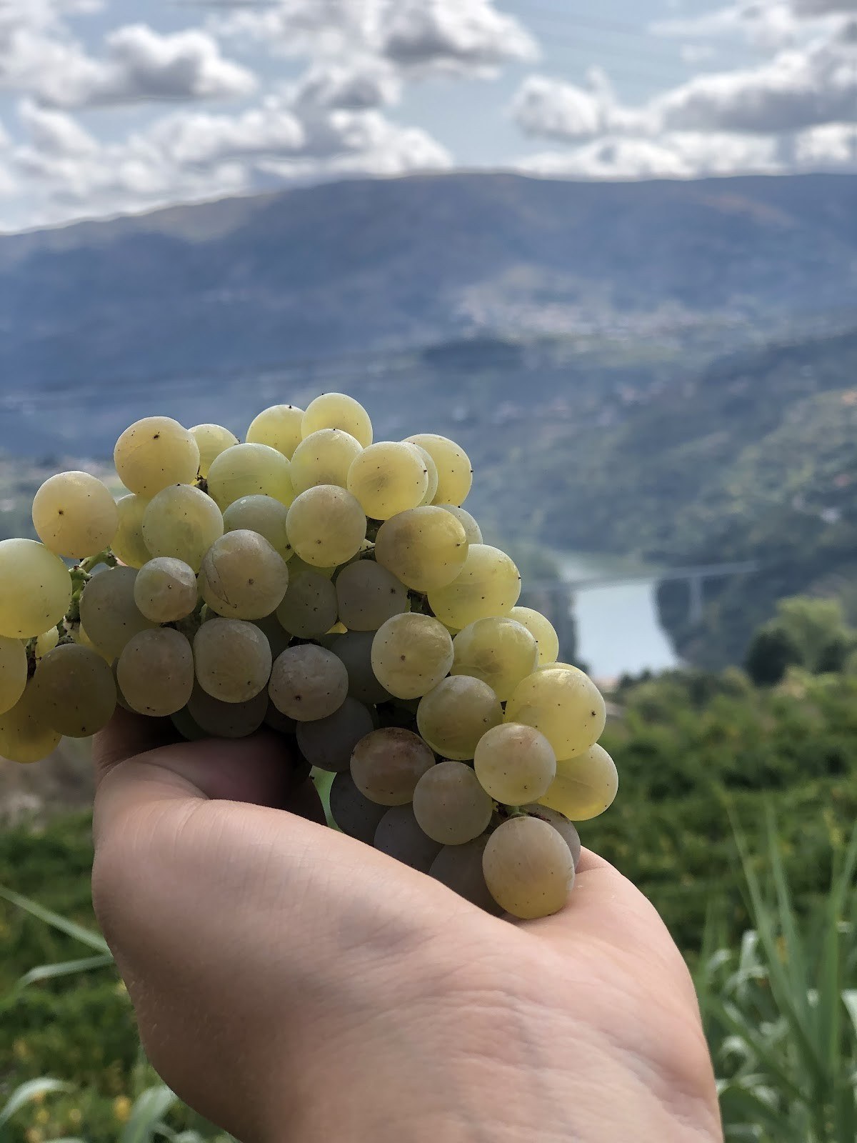 Quinta do Corgo