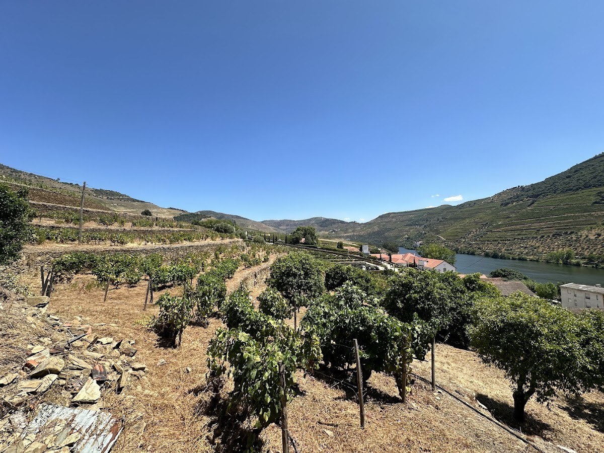 Quinta da Sabordela