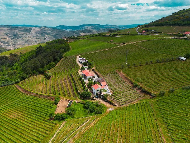 Quinta Da Fonte Do Milho