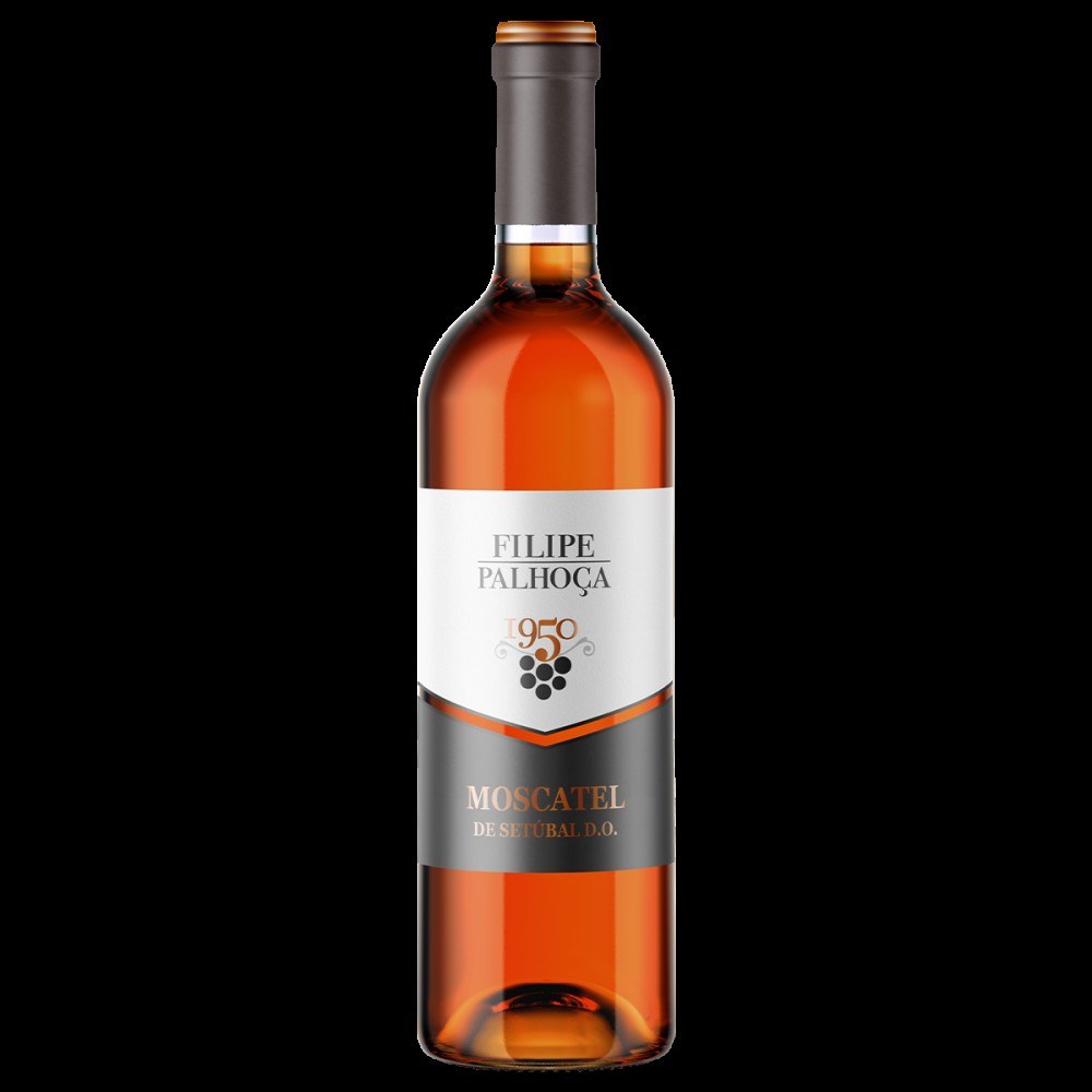 Filipe Palhoça Vinhos
