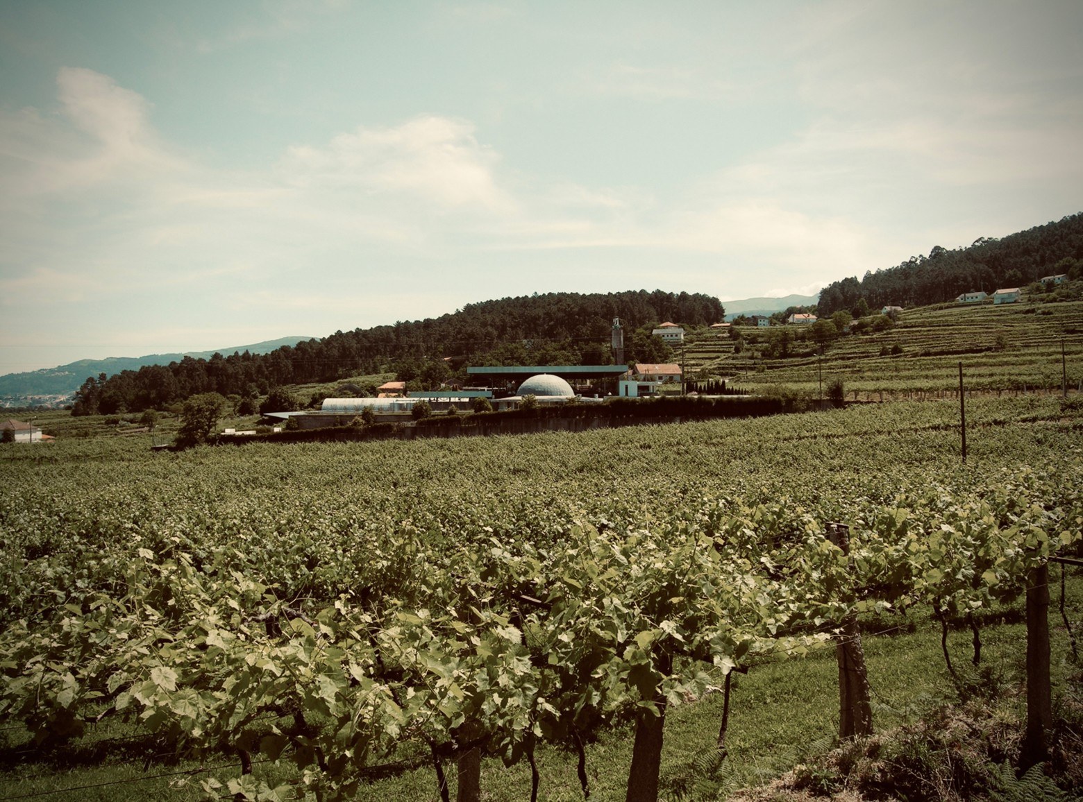 Quintas de Melgaço