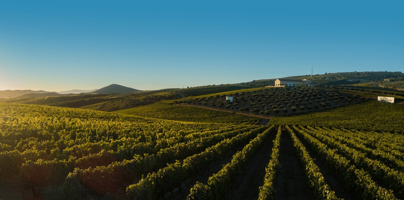 Quinta Do Cadao