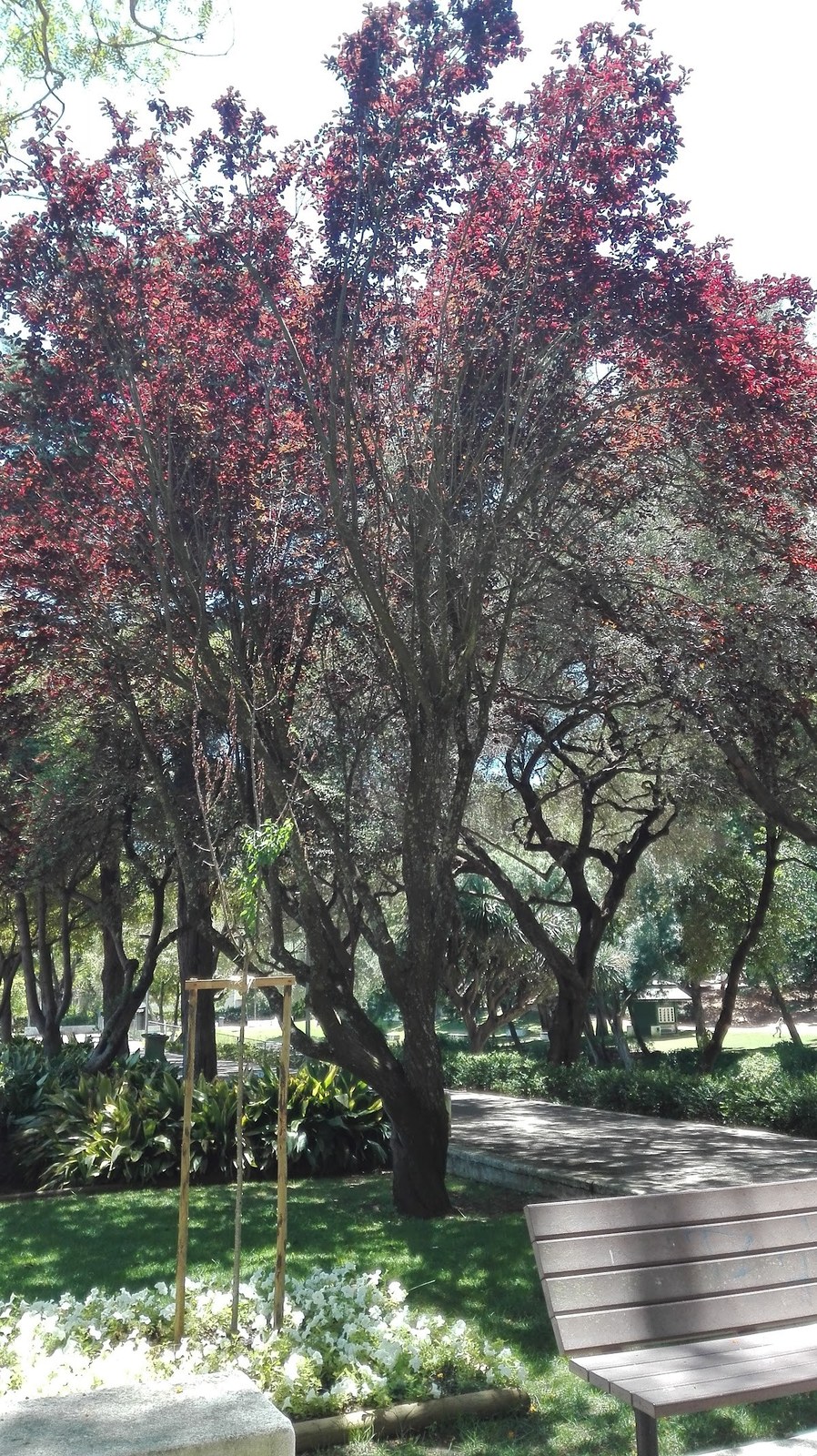 Quinta da Alagoa
