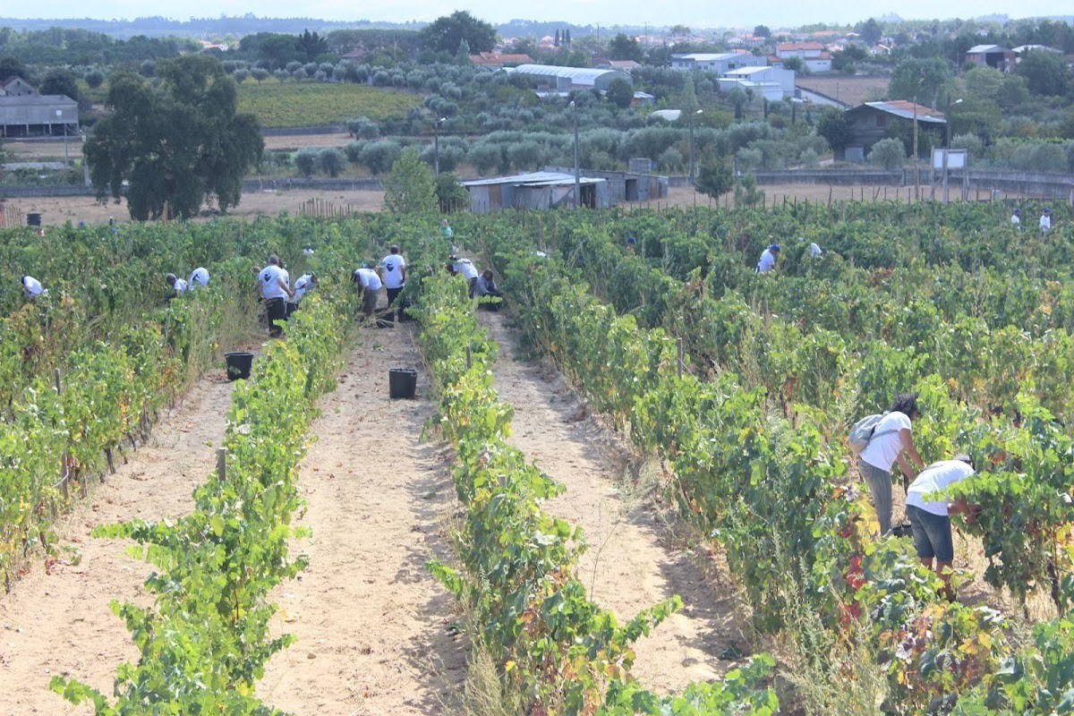 Quinta dos Monteirinhos