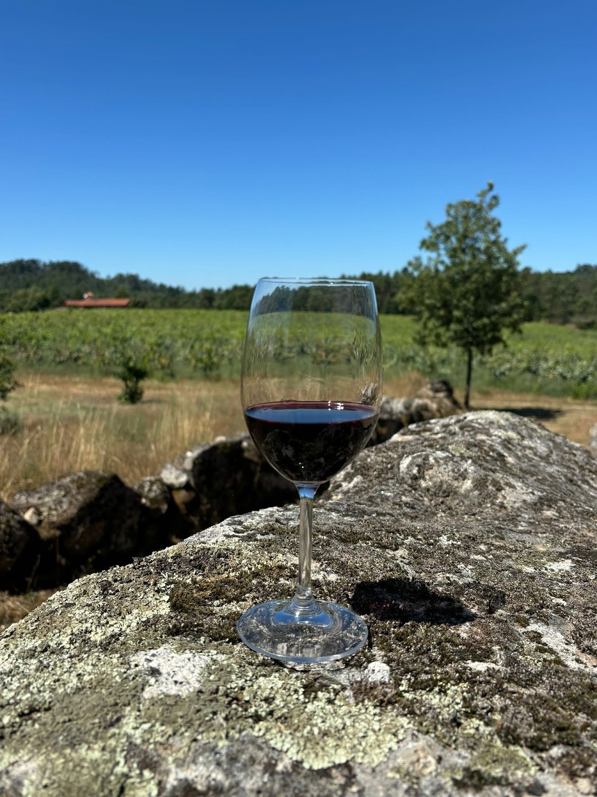 Quinta da Vegia Adega/Winery