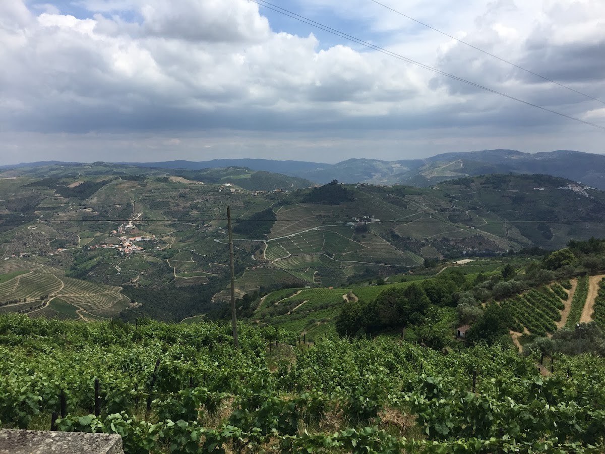 Quinta do Bucheiro