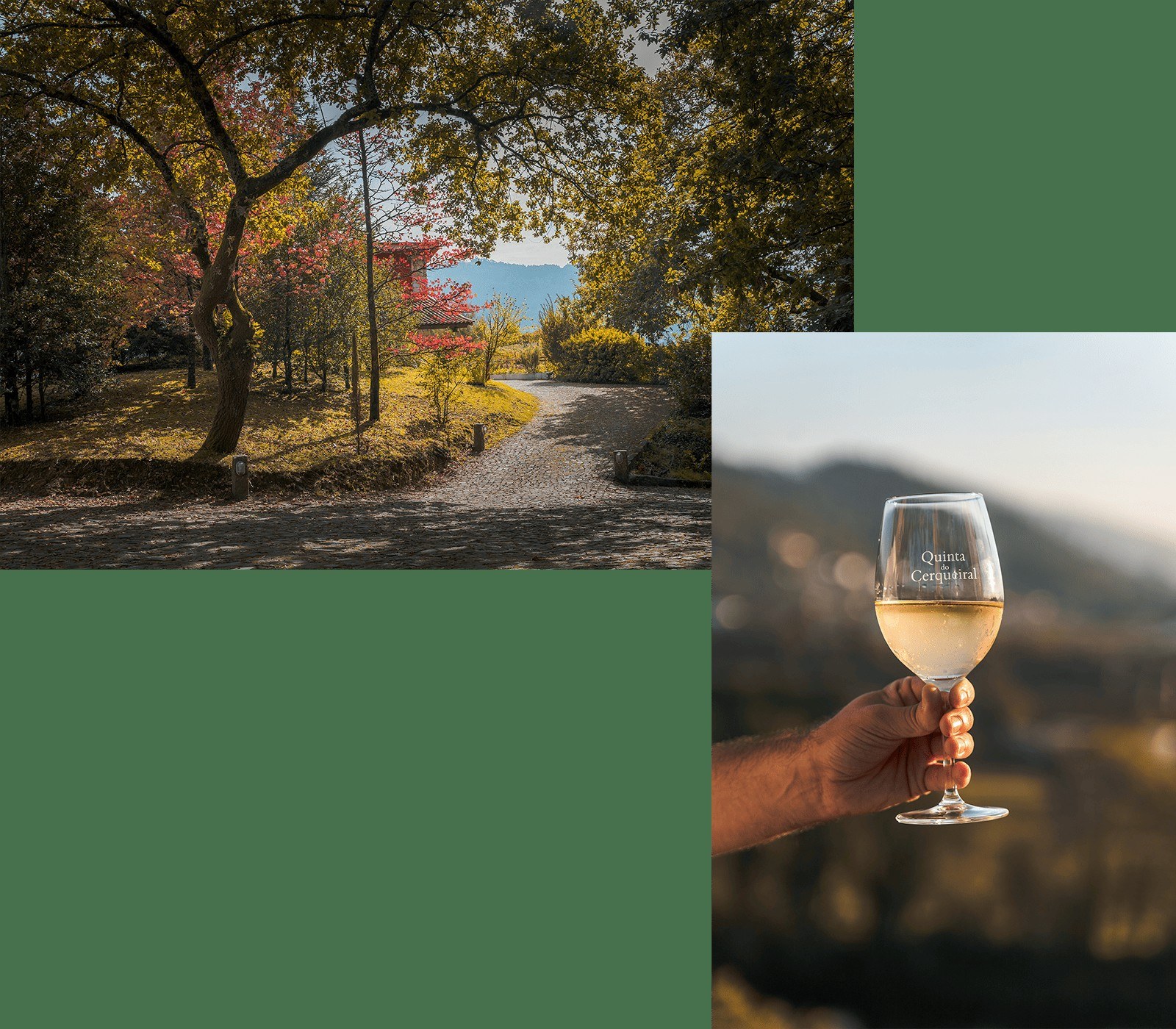 Quinta do Cerqueiral - Adega
