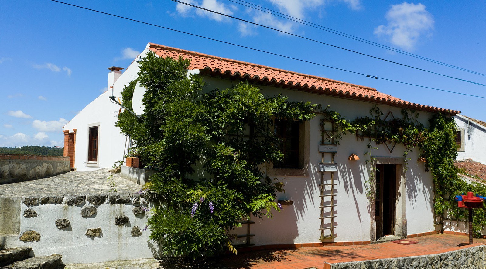 Vinhos Cortém