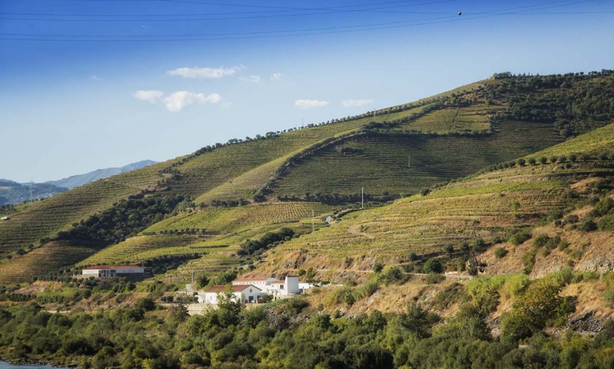 Quinta de Valbom / Adega Douro