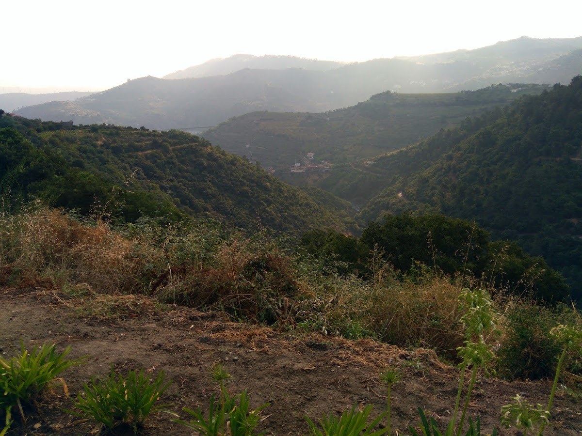 Adega Cooperativa de Lamego