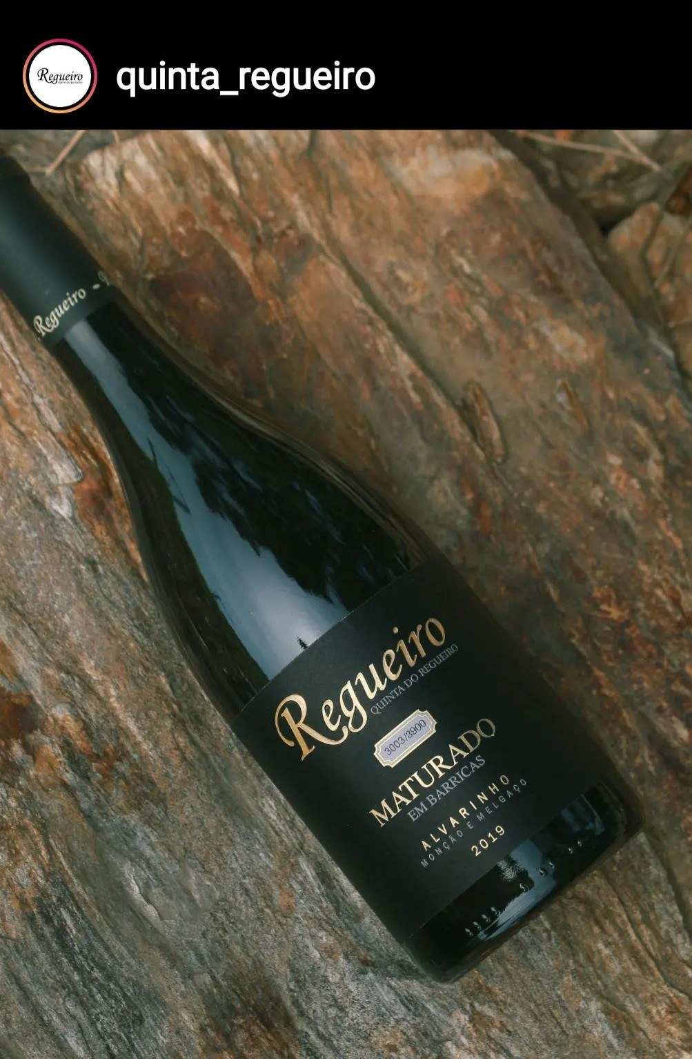 Copo - Distribuição Vinhos, Unipessoal Lda