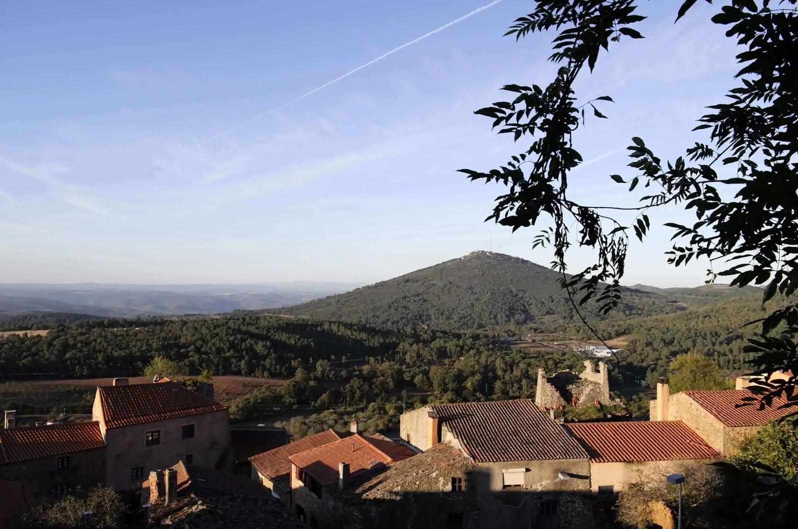 Quinta do Cardo