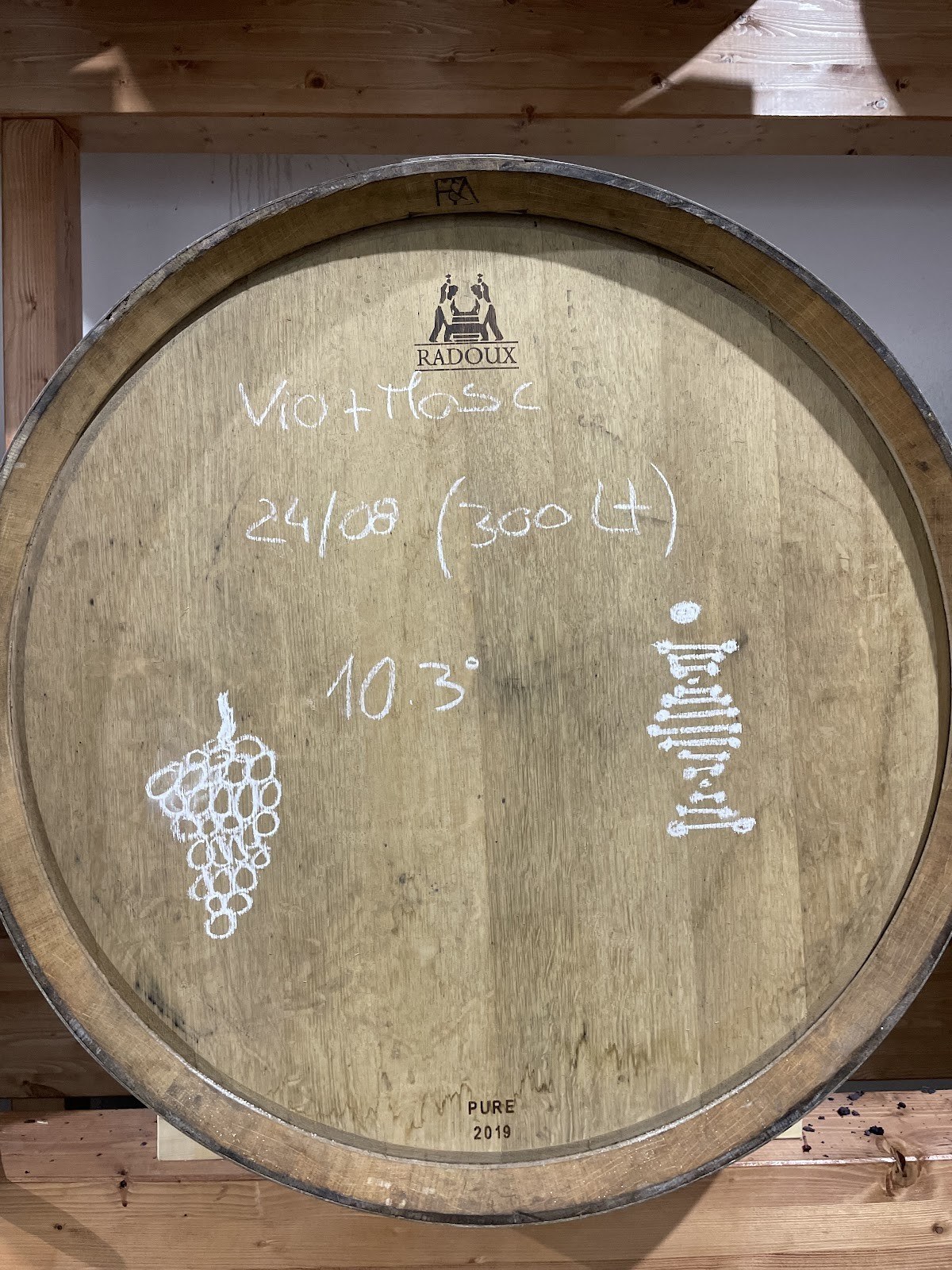 Genúria Wines (Adega)