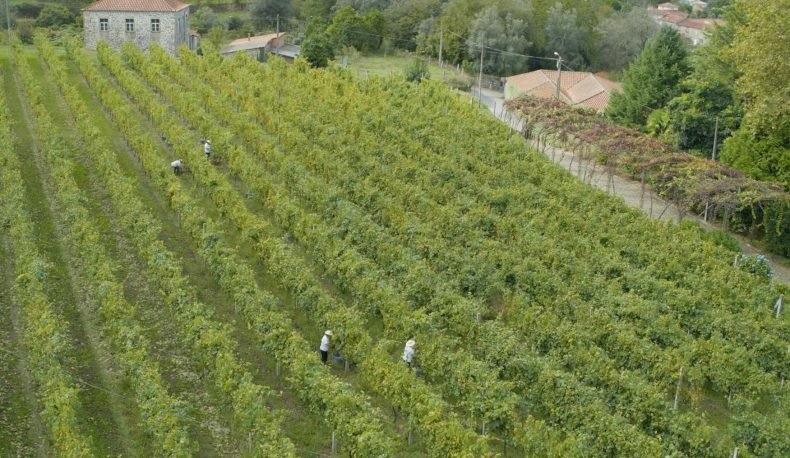 Quinta do Montinho