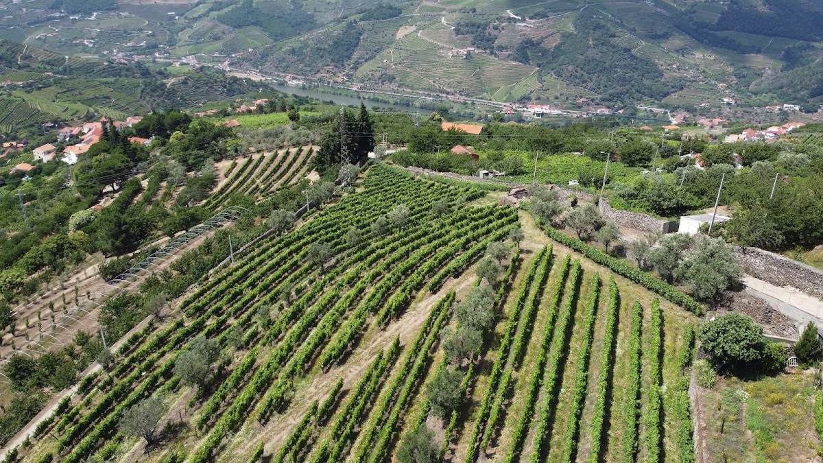 Quinta do Rossaio