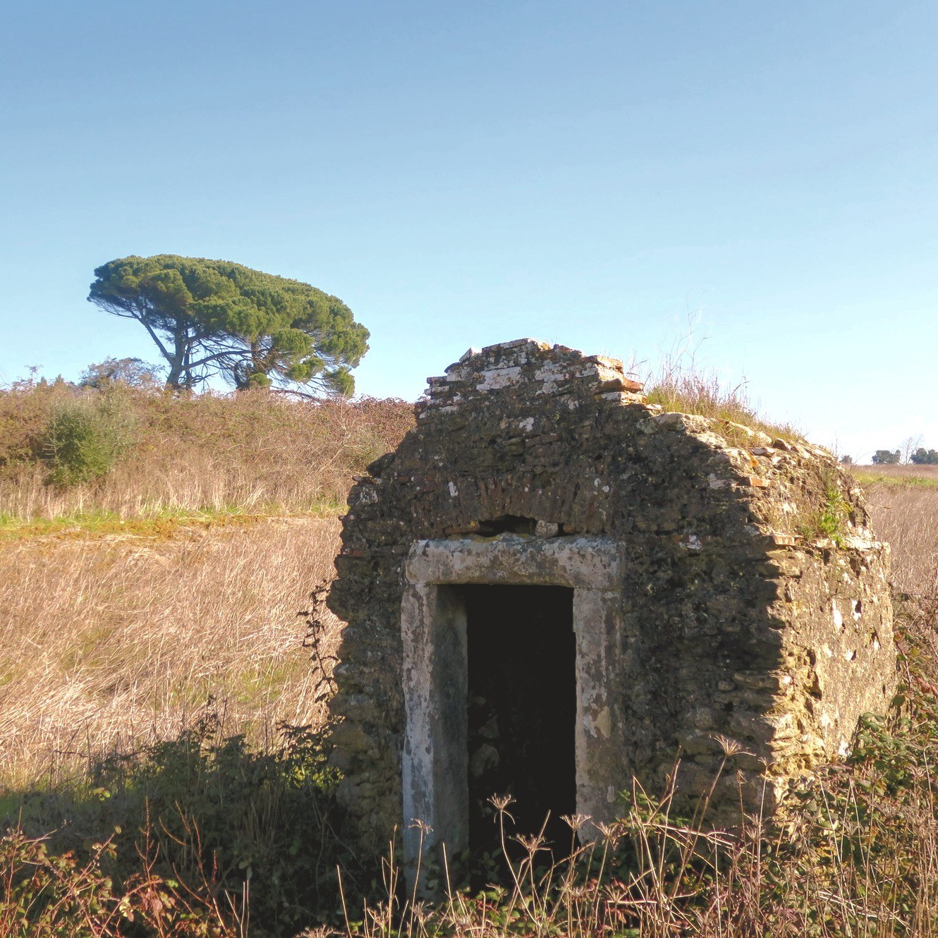 Quinta das Antas