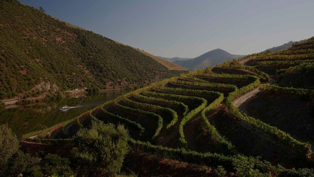 Quinta do Espinho | Cardanhos, Soc. Agrícola e Vitivinícola, Lda.
