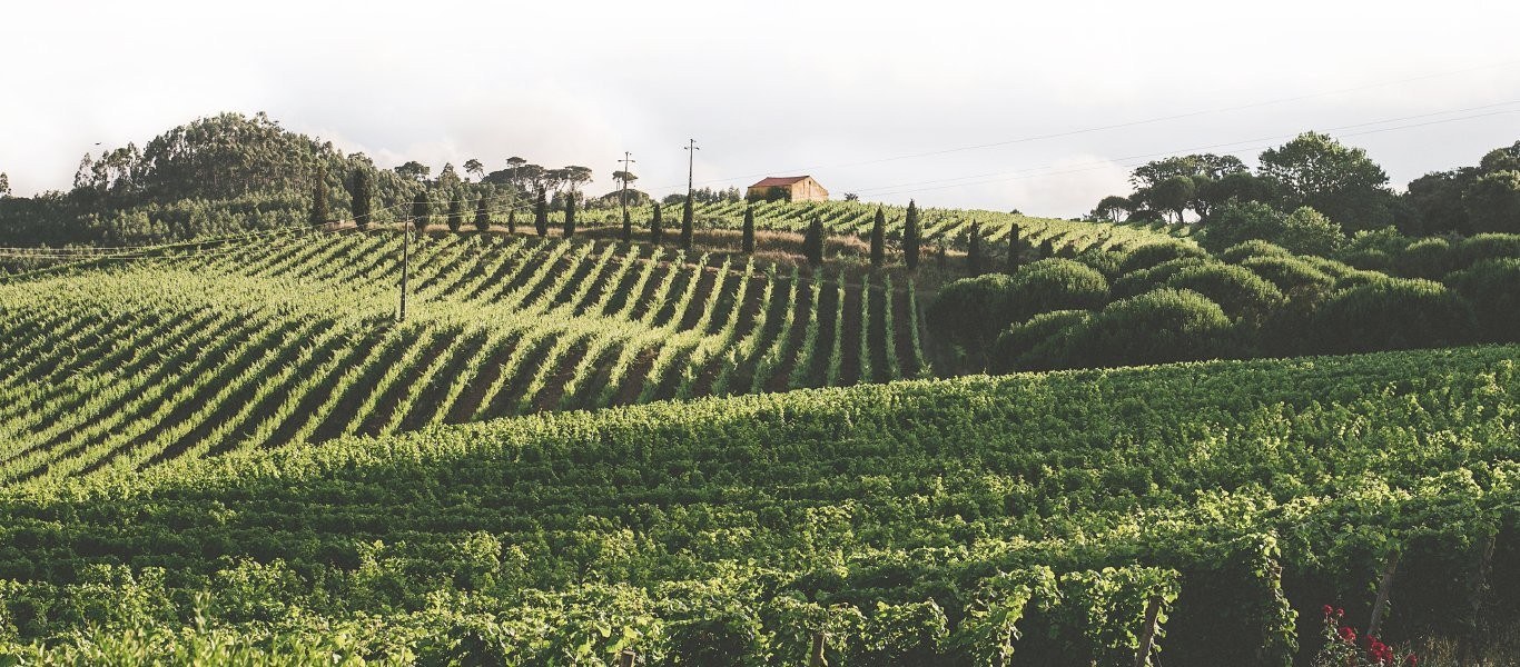 Quinta de Sant'Ana do Gradil