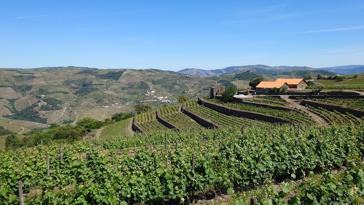Quinta da Cavadinha / Quinta do Alvito
