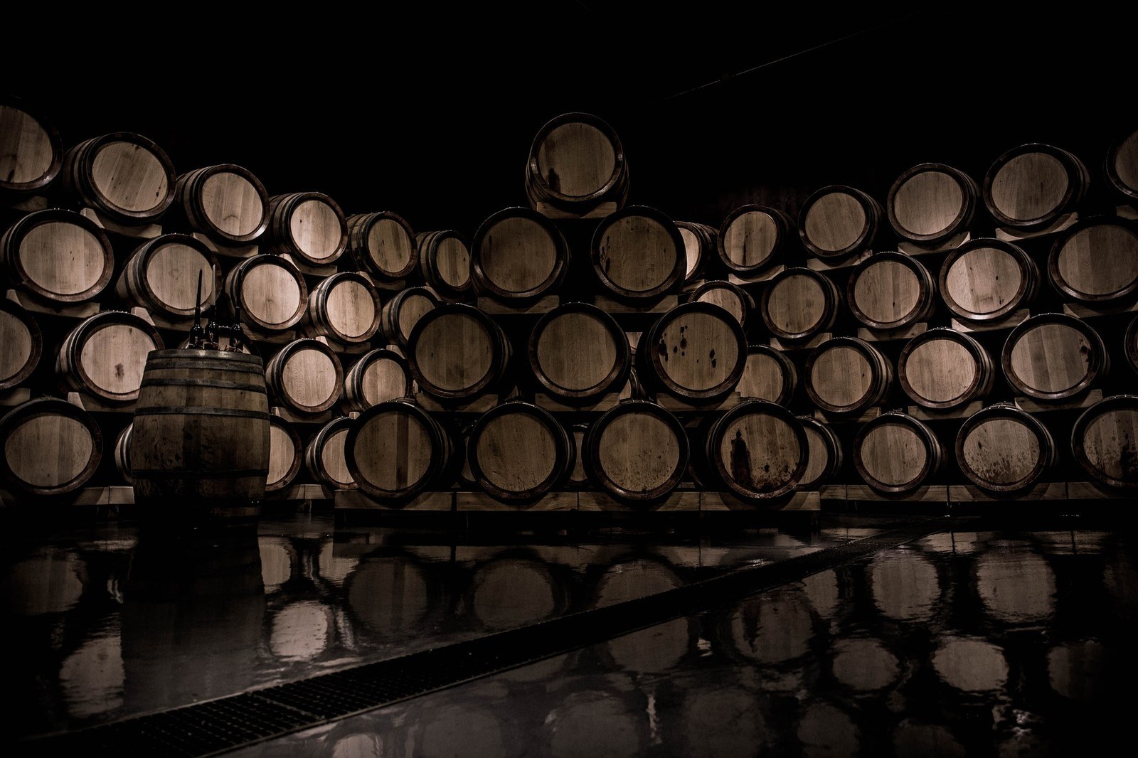 Rota da Bairrada - Curia
