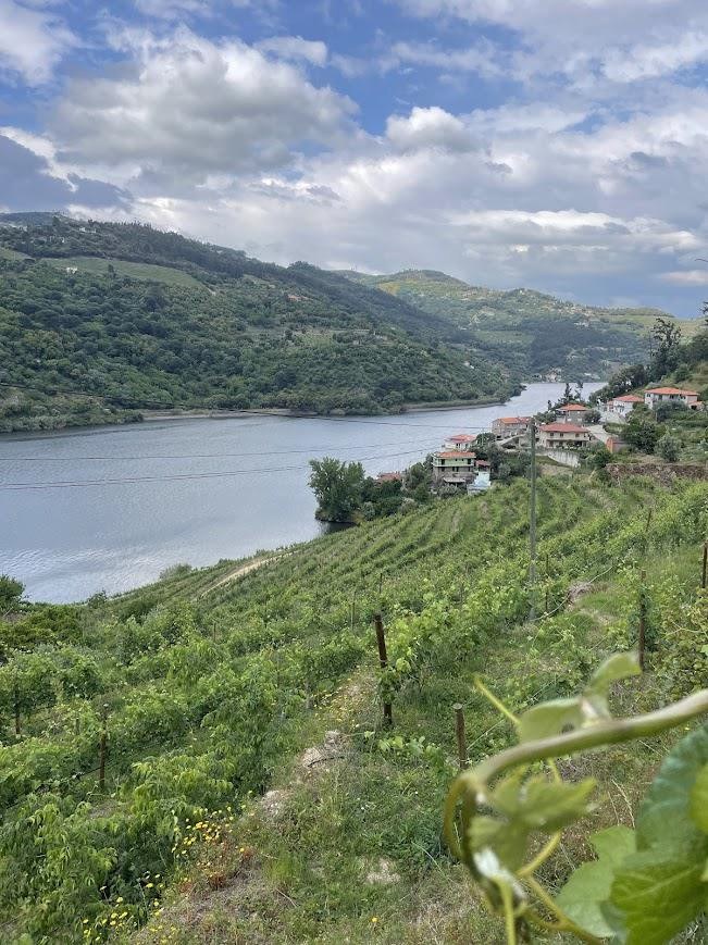 Vale Mercê Wines