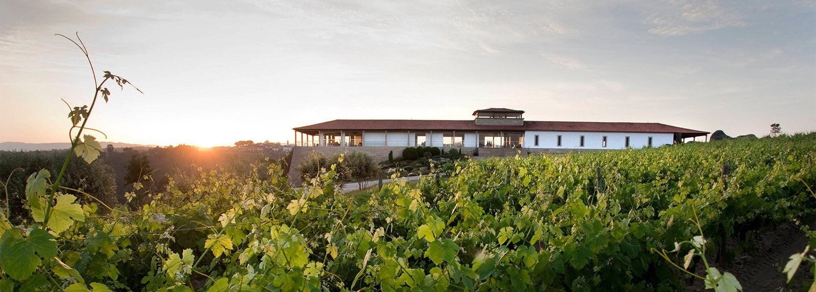 Quinta de Lemos