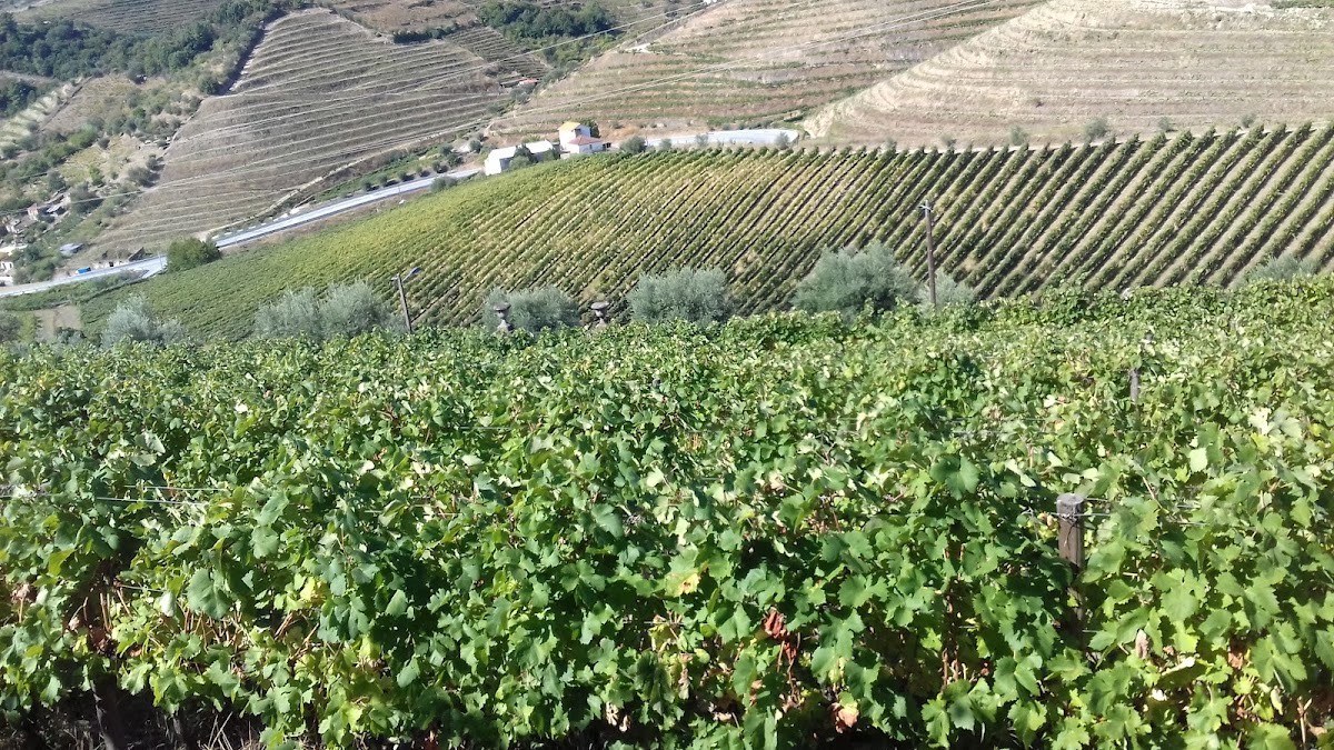 Quinta do Espinho