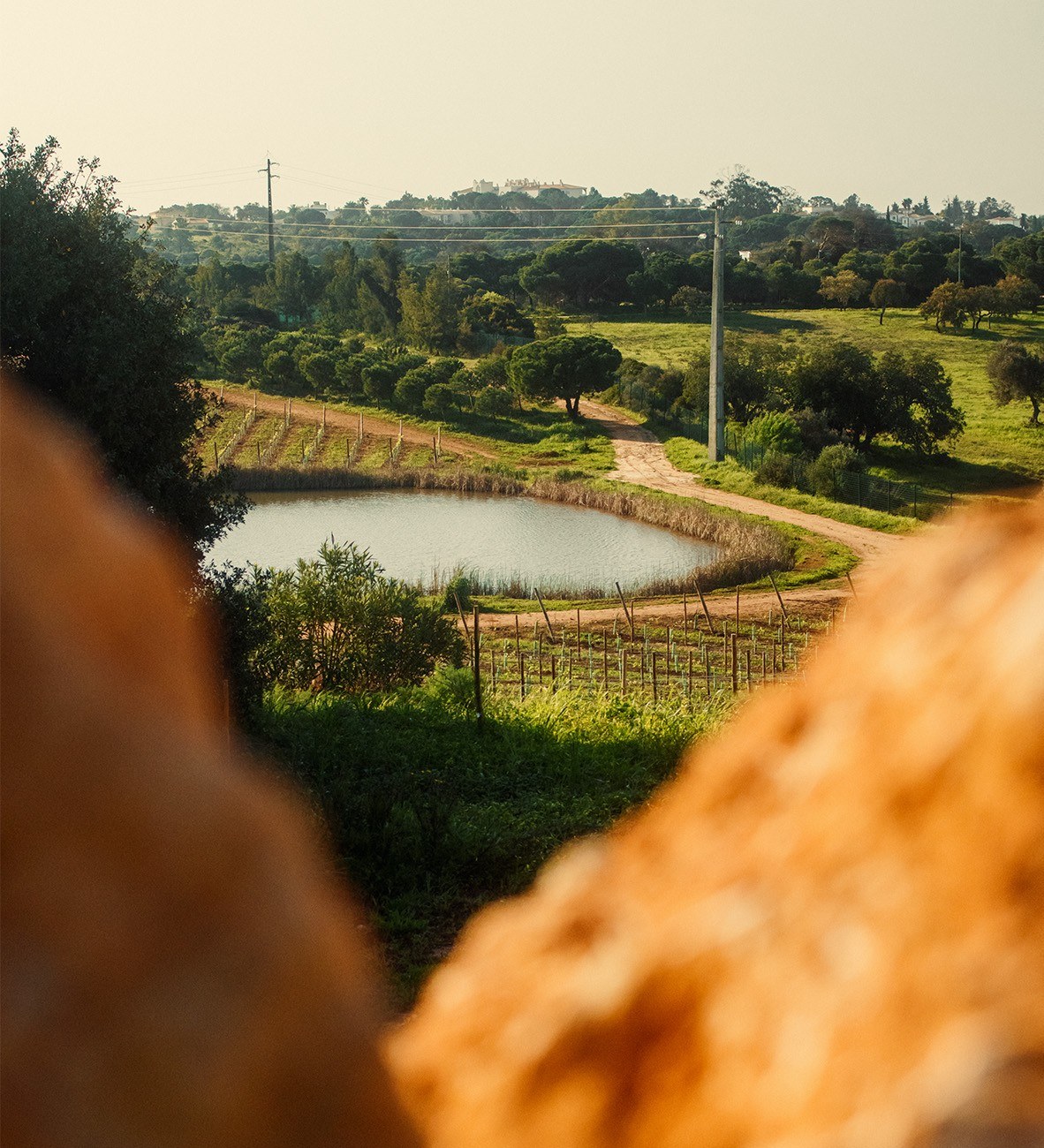 Quinta do Sol Winery
