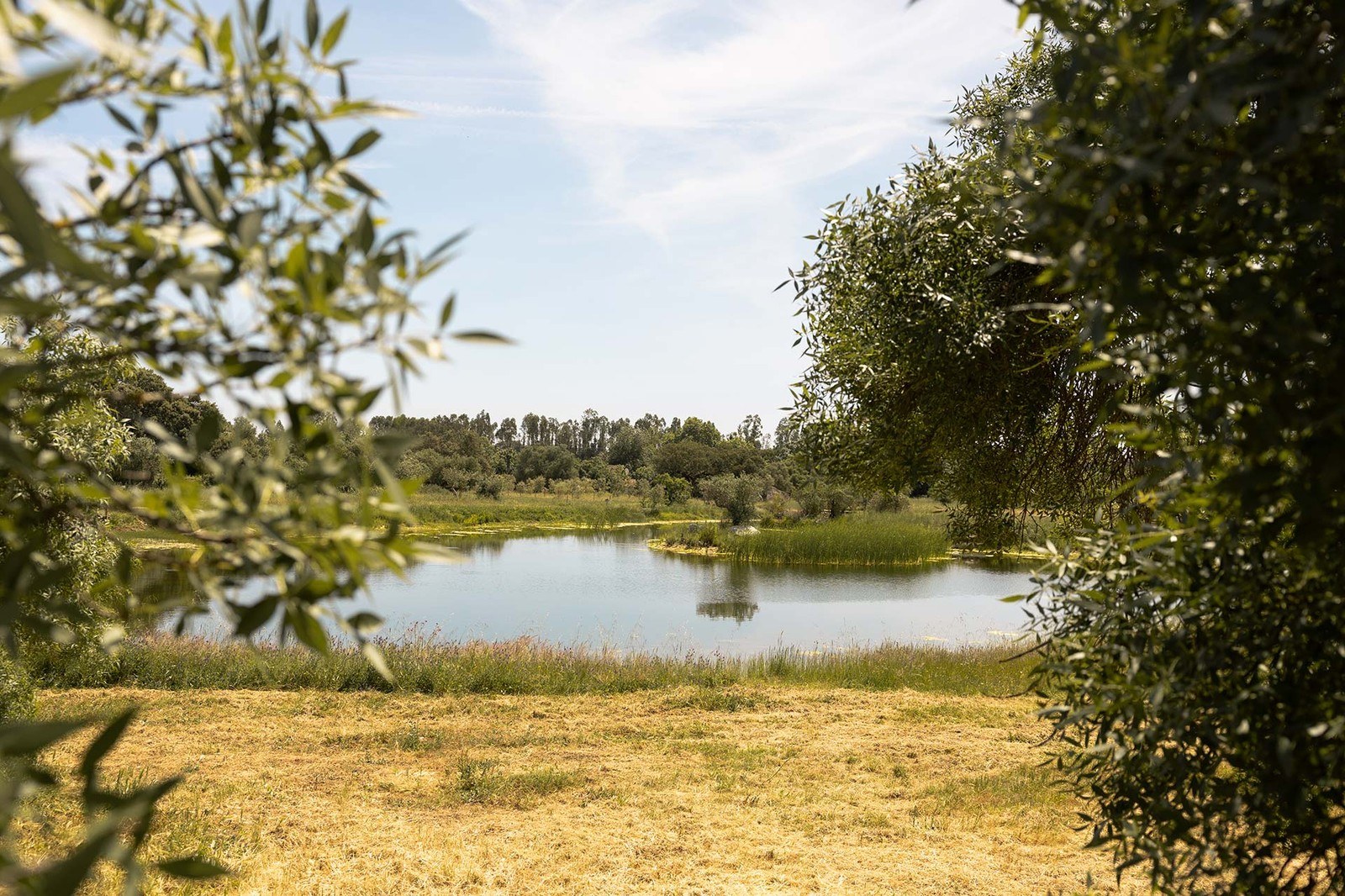 Quinta da Amendoeira - Évora - The Farmhouse