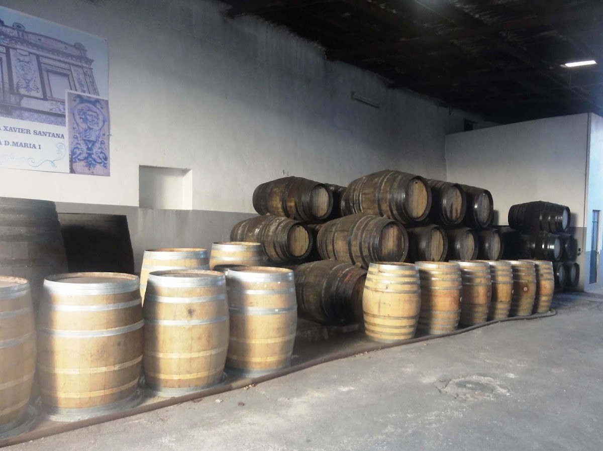 Xavier Santana Vinhos