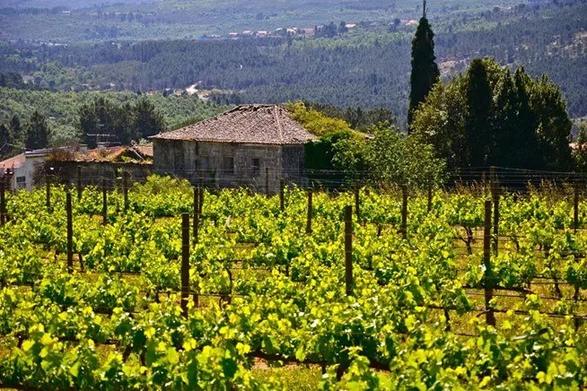 Quinta do Cruzeiro