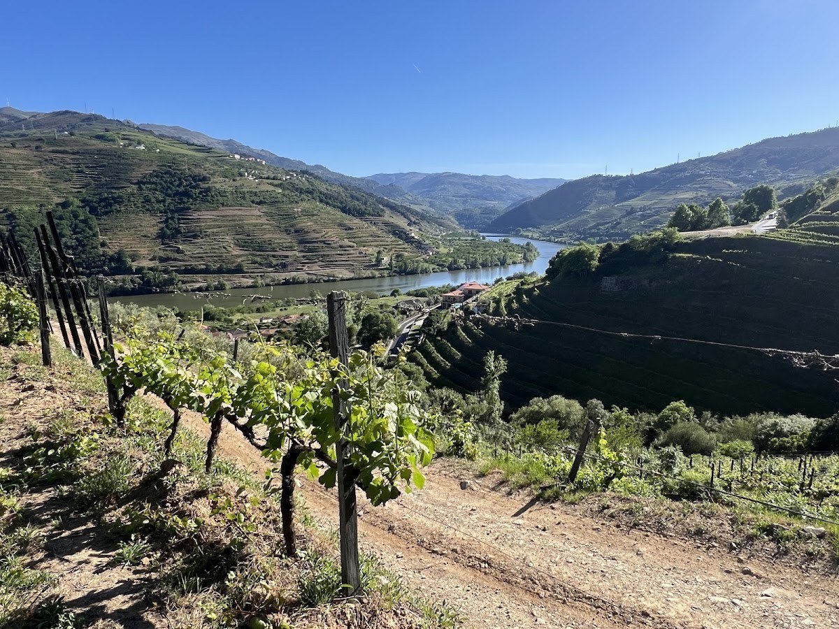 Quinta de S. Tiago - MÃOS AND IRMÃOS WINES