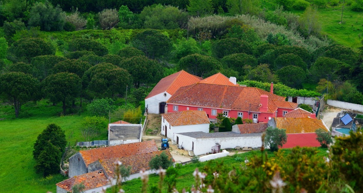 Quinta do Pé do Monte