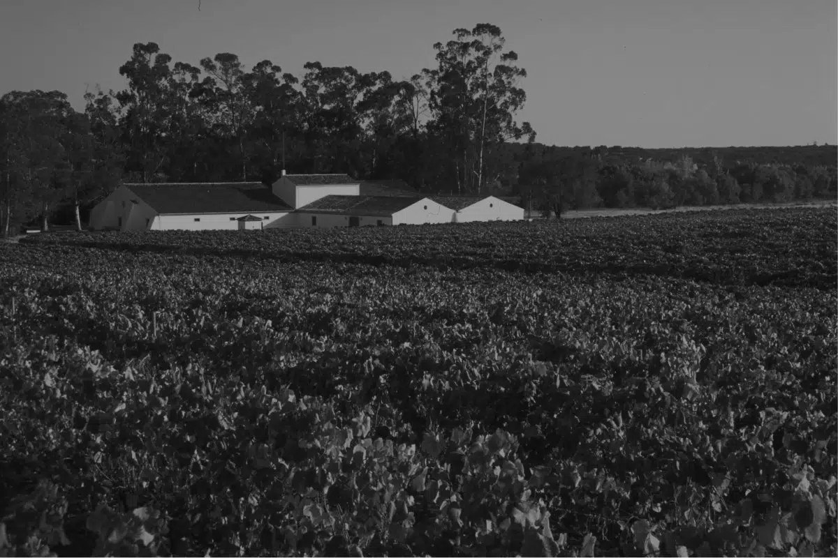 Herdade Do Mouchao