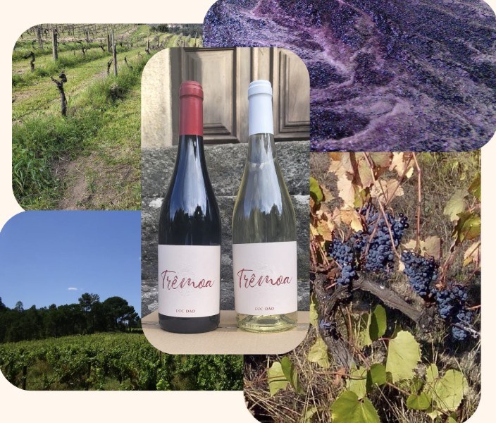 Trêmoa Winery