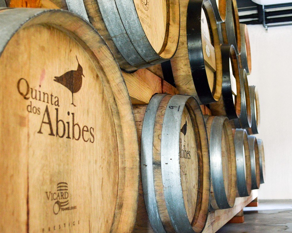 Quinta dos Abibes