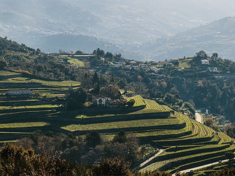 A&D Wines - Quinta de Santa Teresa