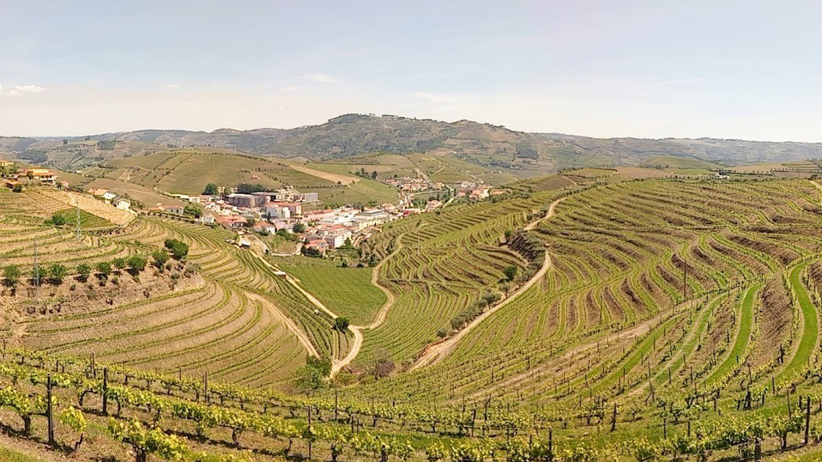 Quinta da Pitarrela_Nogueiras Lda