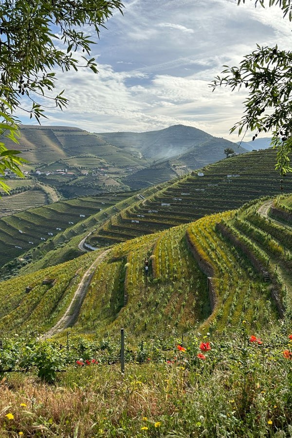 Quinta da Côrte