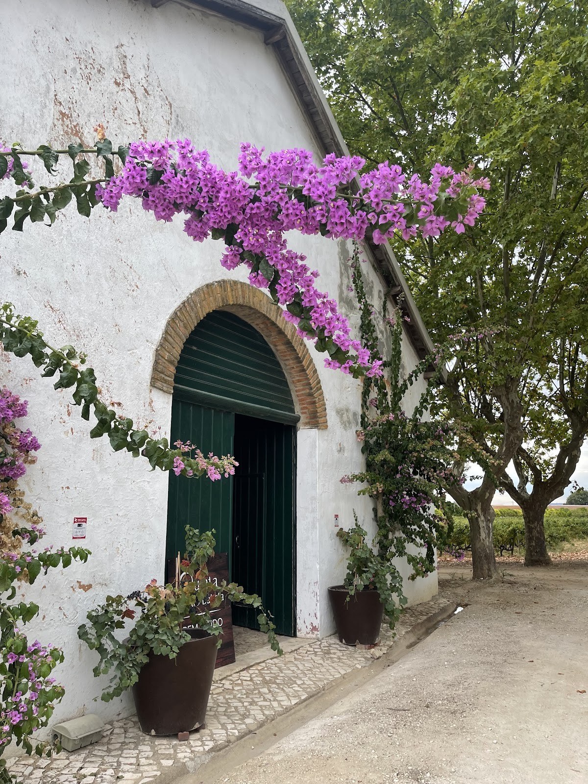 Quinta São João Batista