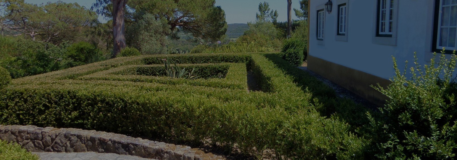 Quinta Da Torre