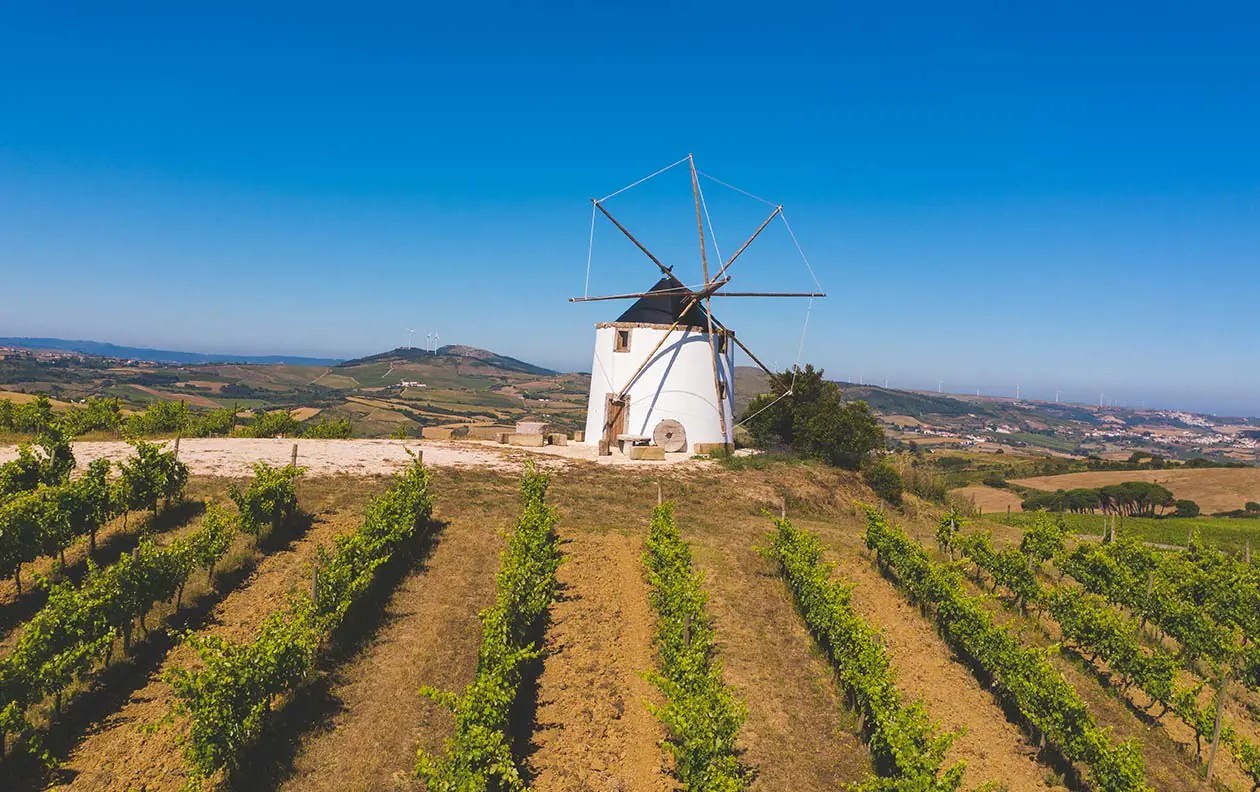 Quinta da Folgorosa
